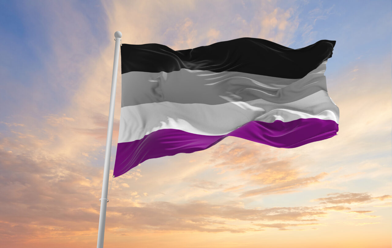 Pride Month: the Asexual Flag - Rosa Lëtzebuerg