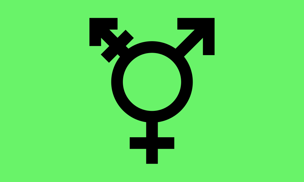 Pride Month: the Trans Flag - Rosa Lëtzebuerg
